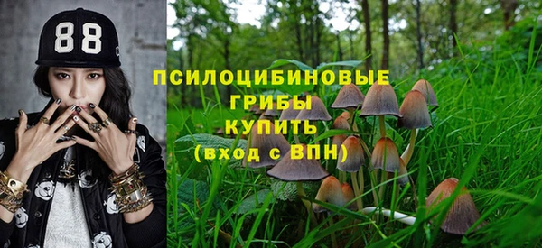 гашик Алзамай