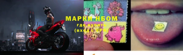 гашик Алзамай