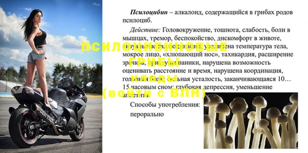 PSILOCYBIN Гусев
