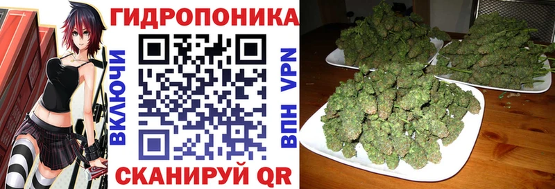 Шишки марихуана SATIVA & INDICA  блэк спрут как войти  Приморск 